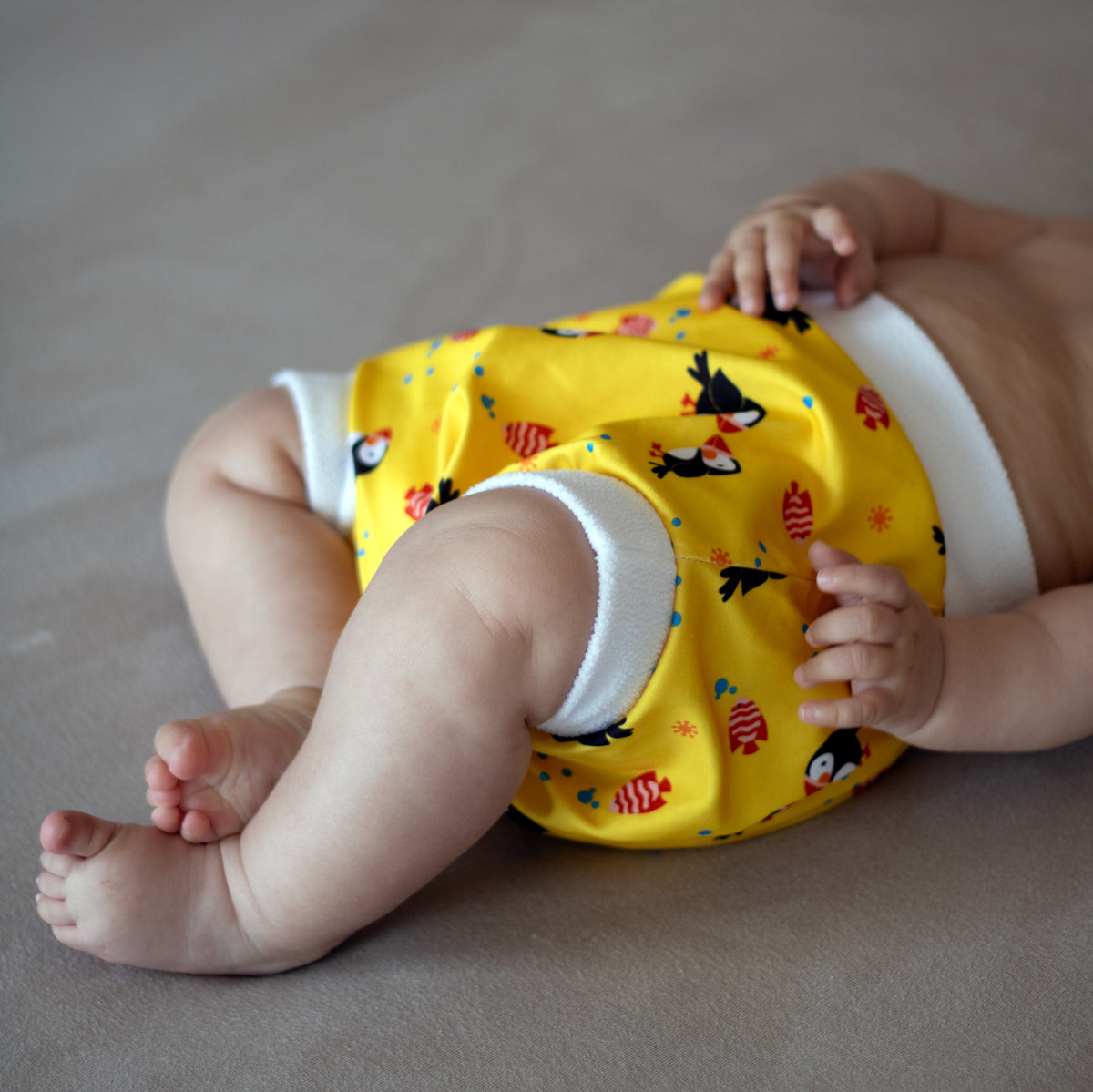 Baby liegt auf dem Rücken und trägt eine Little Clouds Schlupfhose aus PUL – Anwendungsbeispiel im Design Papageientaucher