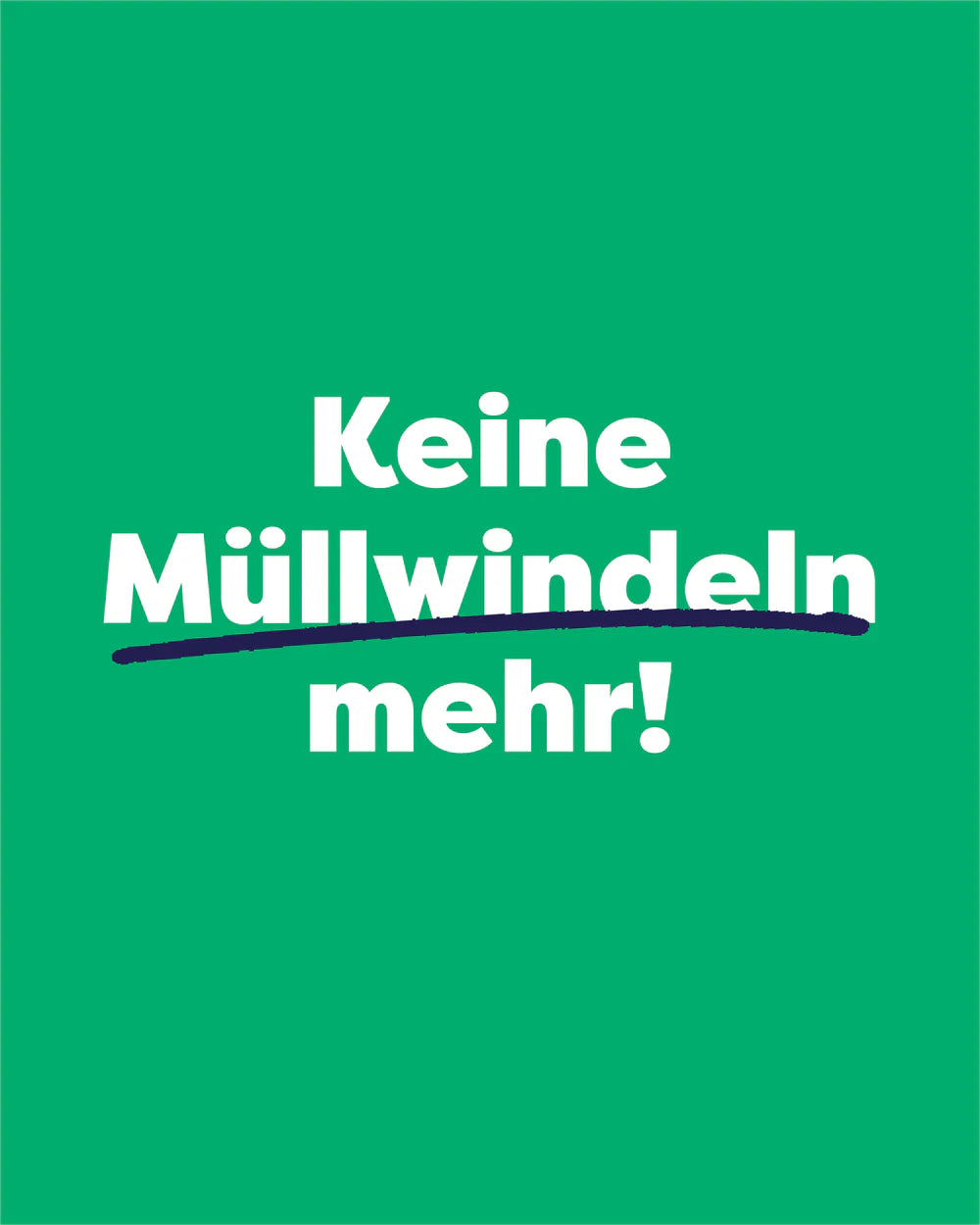 Bambino Mio - Revolutionäre wiederverwendbare Saugeinlage – Flexi (2 Stück)