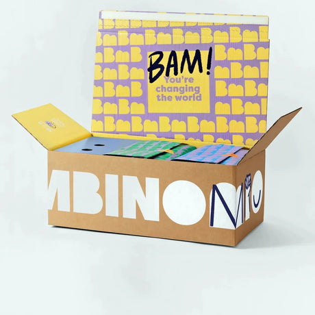Bambino Mio Versandkarton der Changemaker Box