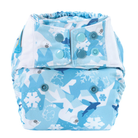 Mommy Mouse Pocketwindel One Size (4–16 kg) im Design Arctos von vorn, mit Druckknöpfen